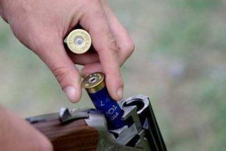 Sibiu: Un urs care a intrat într-o gospodărie de pe Valea Avrigului, a mâncat 20 de gâini şi nu a putut fi alungat a fost împuşcat