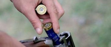 Sibiu: Un urs care a intrat într-o gospodărie de pe Valea Avrigului, a mâncat 20 de gâini şi nu a putut fi alungat a fost împuşcat