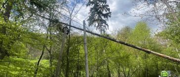 Copaci doborâţi de vânt în judeţul Bihor