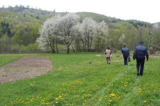 Maramureş: Anchetă a Poliţiei, după ce pe un câmp din Cicârlău a fost găsit trupul unui adolescent de 15 ani