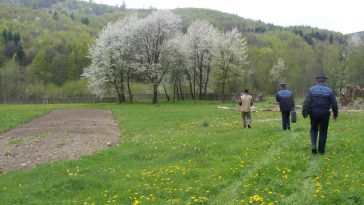 Maramureş: Anchetă a Poliţiei, după ce pe un câmp din Cicârlău a fost găsit trupul unui adolescent de 15 ani