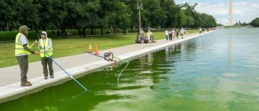 Bazinul renovat de Trump la Washington cu 14 mil. $, invadat de alge imediat după încheierea lucrărilor