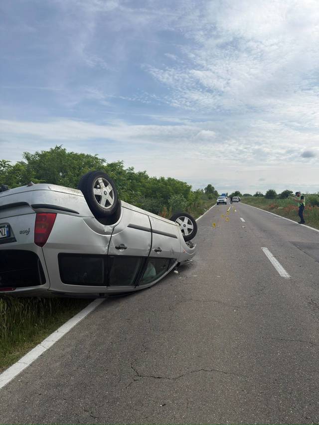 Impact între o maşină şi o căruţă, în Timiş/Autoturismul s-a răsturnat / Două femei şi un bărbat au fost răniţi / Calul a murit – FOTO