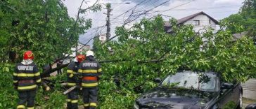 Cod portocaliu de furtuni – Intervenţii ale pompierilor pentru evacuarea apei din curţi şi gospodării / Mai mulţi copaci îndepărtaţi de pe drumuri şi autoturisme – FOTO / VIDEO