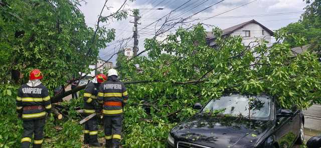 Cod portocaliu de furtuni – Intervenţii ale pompierilor pentru evacuarea apei din curţi şi gospodării / Mai mulţi copaci îndepărtaţi de pe drumuri şi autoturisme – FOTO / VIDEO