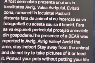 Urs semnalat într-o zonă turistică din judeţul Sibiu / Mesaj RO-Alert