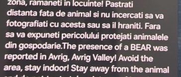 Urs semnalat într-o zonă turistică din judeţul Sibiu / Mesaj RO-Alert