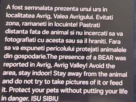 Urs semnalat într-o zonă turistică din judeţul Sibiu / Mesaj RO-Alert