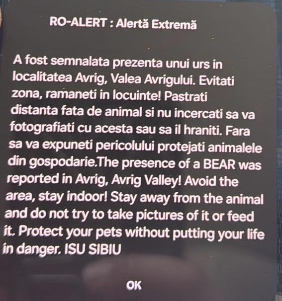 Urs semnalat într-o zonă turistică din judeţul Sibiu / Mesaj RO-Alert