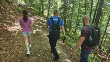 Prahova: Doi turişti care au întâlnit o ursoaică cu doi pui pe un traseu din Muntele Roşu, recuperaţi de către jandarmi
