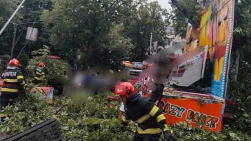 Judeţul Argeş, afectat de furtună. Un copac a căzut pe calea ferată, în comuna Lereşti, iar la Câmpulung un arbore s-a prăbuşit în Grădina publică