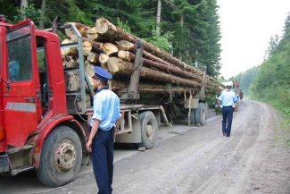 Ministerul Mediului a pus în dezbatere publică proiectul de lege care înăspreşte sancţiunile pentru infracţiunile de mediu/ Proiectul prevede pedepse de până la 20 de ani de închisoare