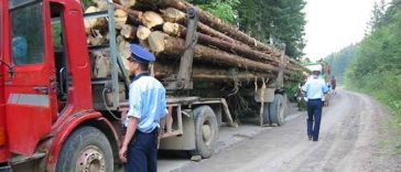Ministerul Mediului a pus în dezbatere publică proiectul de lege care înăspreşte sancţiunile pentru infracţiunile de mediu/ Proiectul prevede pedepse de până la 20 de ani de închisoare
