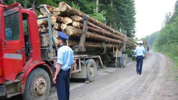 Ministerul Mediului a pus în dezbatere publică proiectul de lege care înăspreşte sancţiunile pentru infracţiunile de mediu/ Proiectul prevede pedepse de până la 20 de ani de închisoare