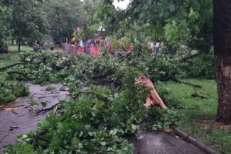 Parcul Crâng din municipiul Buzău, închis după furtuna care a doborât zeci de arbori