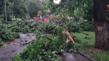 Parcul Crâng din municipiul Buzău, închis după furtuna care a doborât zeci de arbori