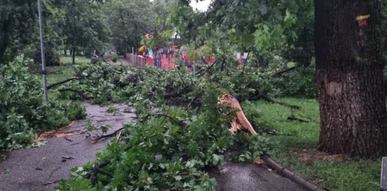 Parcul Crâng din municipiul Buzău, închis după furtuna care a doborât zeci de arbori