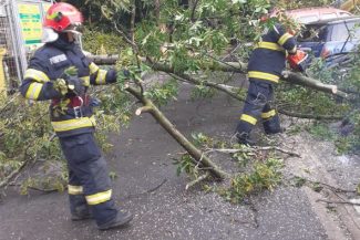Bihor: Pompierii au intervenit pentru înlăturarea unor arbori căzuți, după vijeliile de marți seară