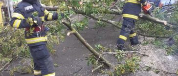 Bihor: Pompierii au intervenit pentru înlăturarea unor arbori căzuți, după vijeliile de marți seară