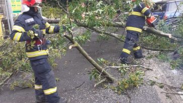 Bihor: Pompierii au intervenit pentru înlăturarea unor arbori căzuți, după vijeliile de marți seară