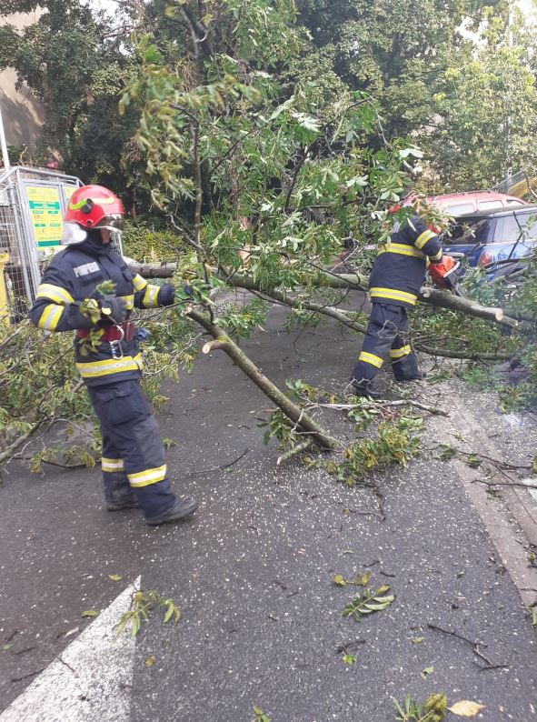 Bihor: Pompierii au intervenit pentru înlăturarea unor arbori căzuți, după vijeliile de marți seară