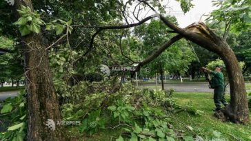 ISUBIF: Peste 1.400 de intervenții, desfășurate în București pentru îndepărtarea efectelor furtunii