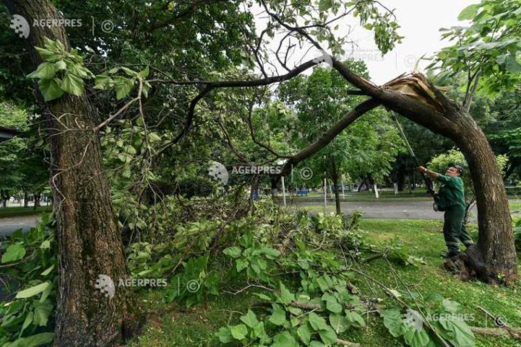 ISUBIF: Peste 1.400 de intervenții, desfășurate în București pentru îndepărtarea efectelor furtunii