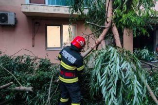 Giurgiu: Copaci și stâlpi de electricitate căzuți pe carosabil și peste mașini, case și curți inundate în județ