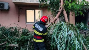 Giurgiu: Copaci și stâlpi de electricitate căzuți pe carosabil și peste mașini, case și curți inundate în județ