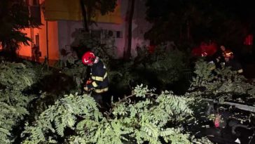 ISUBIF: Noi forțe dislocate din județe în sprijinul pompierilor bucureșteni care acționează după furtună