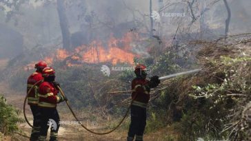 MAE/Atenționare de călătorie: Portugalia – risc de incendii de vegetație; stare de alertă până pe 6 iulie