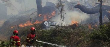 Patru răniți în urma unui incendiu forestier activ în Portugalia