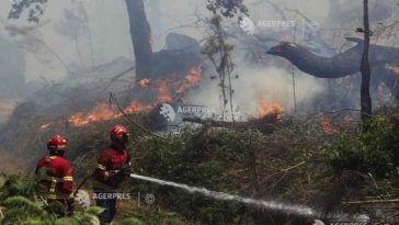 Patru răniți în urma unui incendiu forestier activ în Portugalia