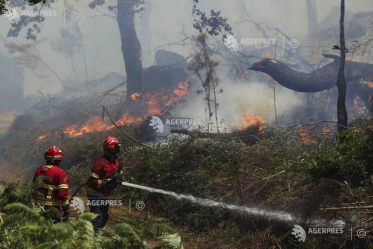 Patru răniți în urma unui incendiu forestier activ în Portugalia