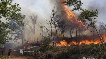 Afectată de incendii forestiere, Portugalia activează mecanismul european de protecție civilă