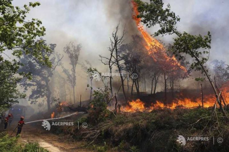 Afectată de incendii forestiere, Portugalia activează mecanismul european de protecție civilă
