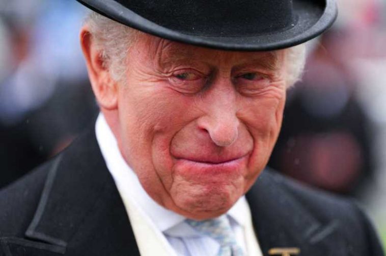 SUA250/Londra și Washingtonul vor continua să-și apere ‘valorile comune’, afirmă regele Charles al III-lea
