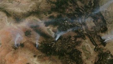MAE/ Atenționare de călătorie pentru SUA: Incendii de vegetație pe Coasta de Vest
