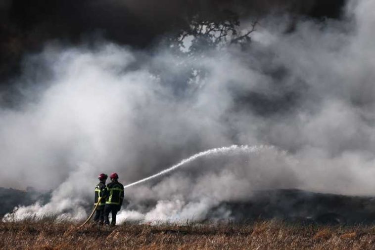 Franța/ Un incendiu de vegetație izbucnit în Pirinei a mistuit aproape o mie de hectare