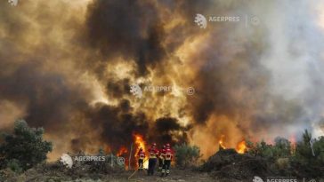 Portugalia/ Lupta împotriva unui incendiu forestier major ‘evoluează favorabil’