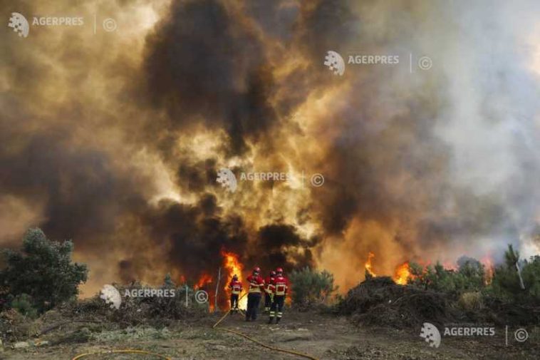 Portugalia/ Lupta împotriva unui incendiu forestier major ‘evoluează favorabil’
