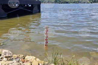 BTA: Nivelul scăzut al Dunării perturbă transportul naval în secțiunea bulgară