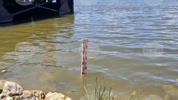 BTA: Nivelul scăzut al Dunării perturbă transportul naval în secțiunea bulgară