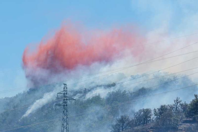 Pompier francez mort într-un incendiu forestier din Savoie (ministru de Interne)