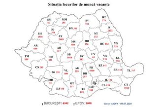 Aproape 30.500 de locuri de muncă vacante la nivel național; 205 posturi disponibile în Spațiul Economic European