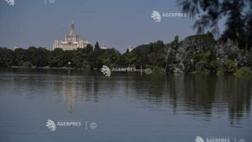 PMB: 103 arbori de pe malul lacului Herăstrău vor fi defrișați