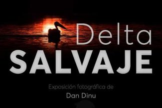 Expoziția ‘Delta Sălbatică’ – din 14 iulie, la sediul Institutului Cultural Român de la Madrid