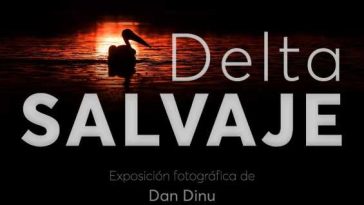 Expoziția ‘Delta Sălbatică’ – din 14 iulie, la sediul Institutului Cultural Român de la Madrid