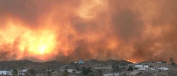 VIDEO Spania: Un incendiu de pădure face 12 morți în Andaluzia