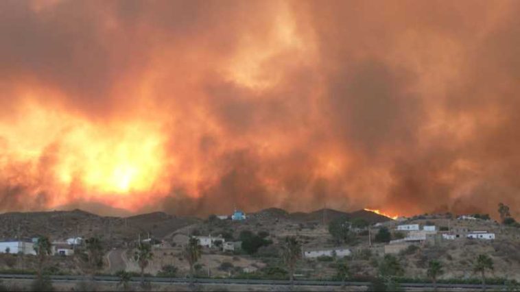 VIDEO Spania: Un incendiu de pădure face 12 morți în Andaluzia